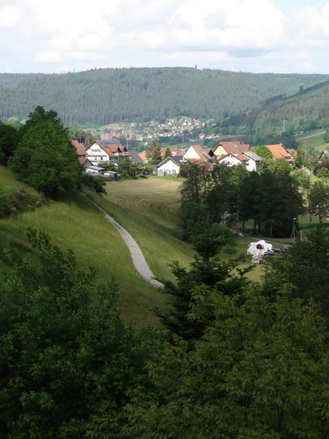 Haus Schneider Apartamento Baiersbronn Exterior foto
